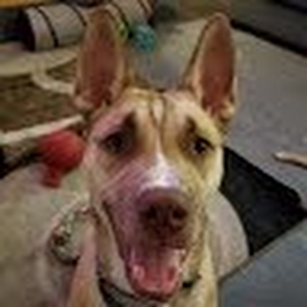 Meet your Posher, Leah